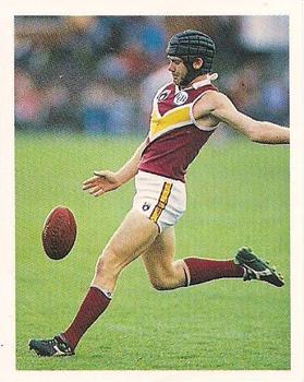 1993 Select AFL Stickers #41 John Hutton Front